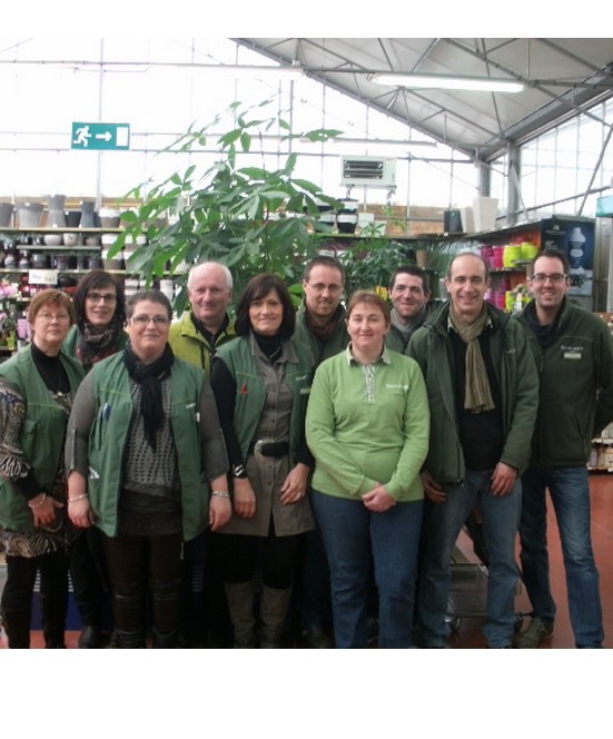 tole bac acier gamm vert