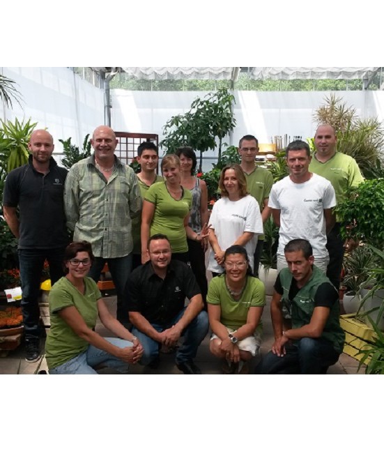 tole bac acier gamm vert