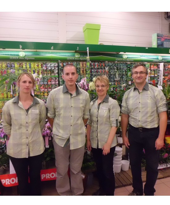 tole bac acier gamm vert